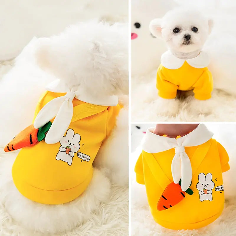 Satchel Pet Clothing