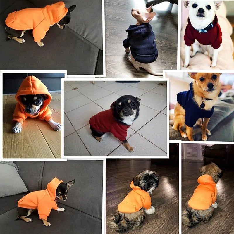 Pet Sweatshirt For Small Dogs