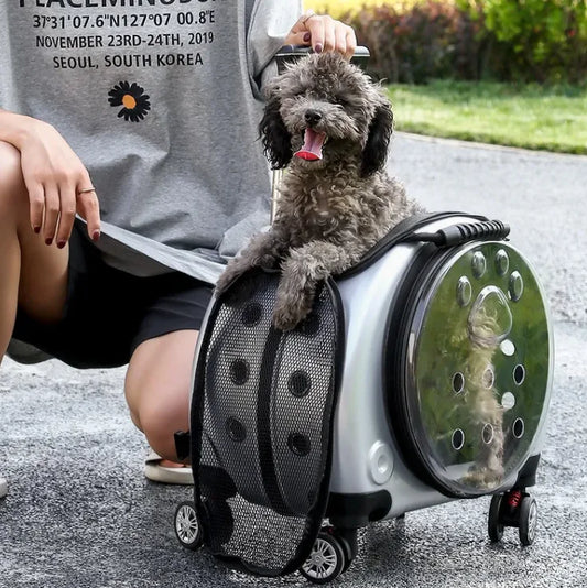 Small Pet Trolley Bag